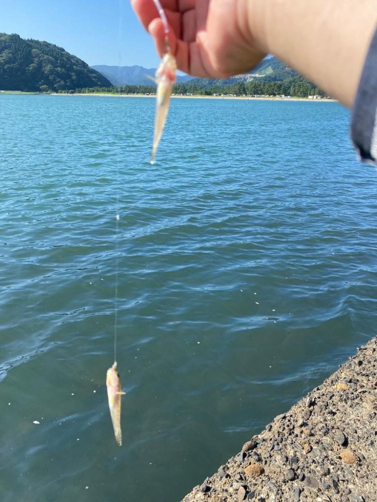 ちょい投げライトキスゲーム④