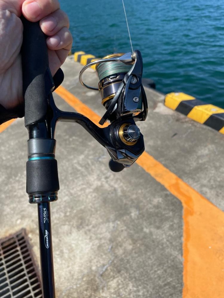 キス釣り入れ食い