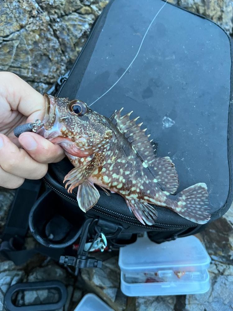 小浜ライトゲーム