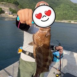 泳がせで初オオモンハタ！