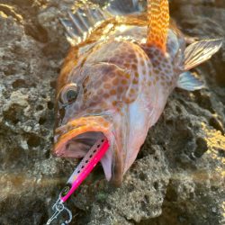 ジャックアイマキマキ無双