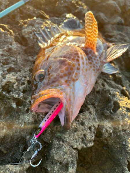 ジャックアイマキマキ無双