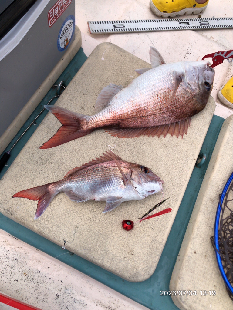 7/4 伊島沖　タイラバ　ジギング