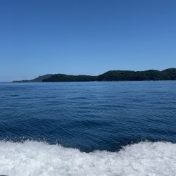 全て自作練り餌での釣果