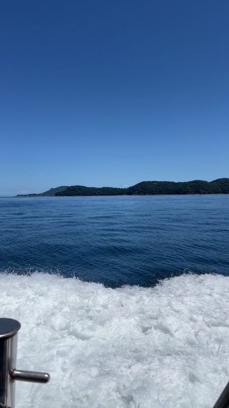 全て自作練り餌での釣果