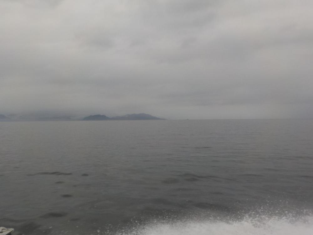 アマラバ初挑戦