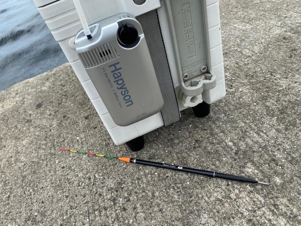 少し風が強い日