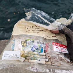 清掃活動：これからに期待