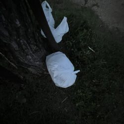 清掃活動：海の日、猛暑の日