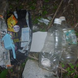 清掃活動：7月の淡水魚