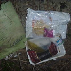 清掃活動：七月のなまずその２