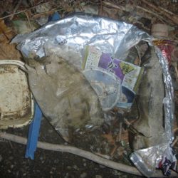 清掃活動：7月バス　その3