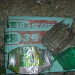 清掃活動：夕方にいい風