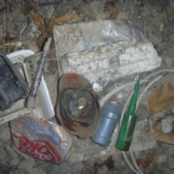 清掃活動：夏なまず