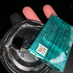 清掃活動:富山チニング調査