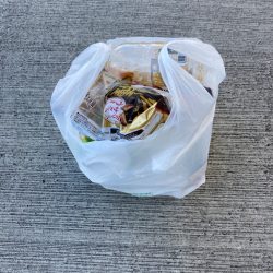 清掃活動：セイゴのアタリなし