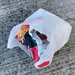 清掃活動：セイゴの活性高い