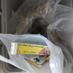 清掃活動：朝活再始動でタコ釣り！