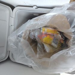 清掃活動：今年初のおかっぱりタコ