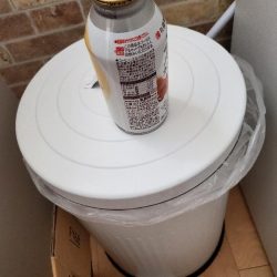 清掃活動：アオリイカ　絶好調