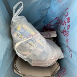 清掃活動：雨あがりのサビキ