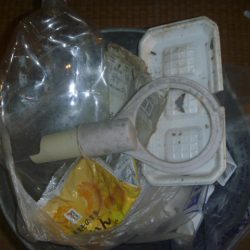 清掃活動：7月バス