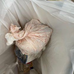 清掃活動：奈半利で五目釣り