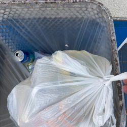 清掃活動：本日活性低い