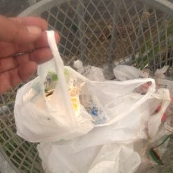 清掃活動：長潮凪