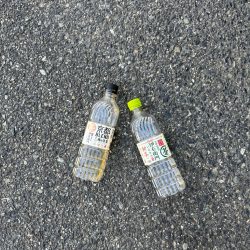 清掃活動：キス　夜釣り(投げ釣り)