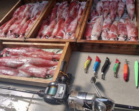 マイカ釣り！（剣先イカ）