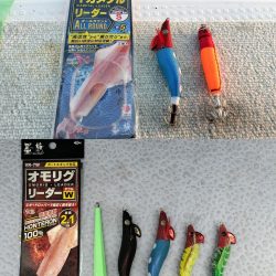 マイカ釣り！（剣先イカ）
