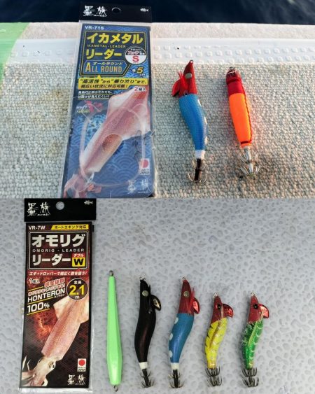 マイカ釣り！（剣先イカ）