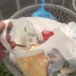 清掃活動：中潮凪