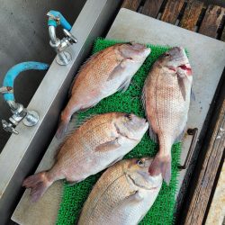 和歌山マリーナシティ釣り堀 釣果