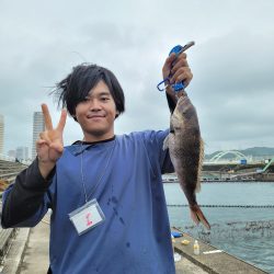 和歌山マリーナシティ釣り堀 釣果