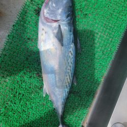 和歌山マリーナシティ釣り堀 釣果