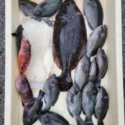 和歌山マリーナシティ釣り公園 釣果