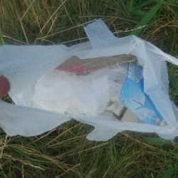 清掃活動：小潮凪