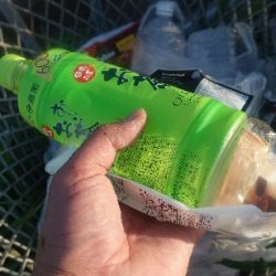 清掃活動：小潮凪