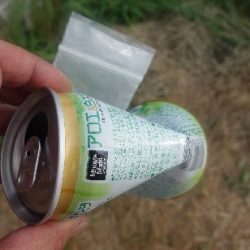 清掃活動：大潮凪