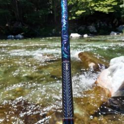 大好きな馬瀬川上流