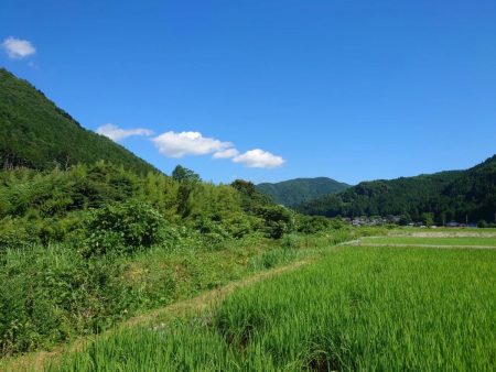 大好きな馬瀬川上流