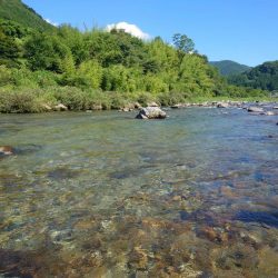 大好きな馬瀬川上流
