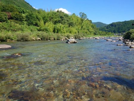 大好きな馬瀬川上流