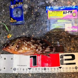 やっとガシラマンション見つけました！！