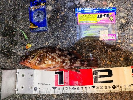 やっとガシラマンション見つけました！！