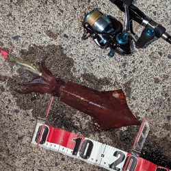 ショアティップラン