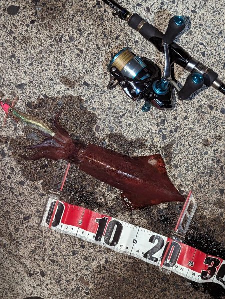 ショアティップラン