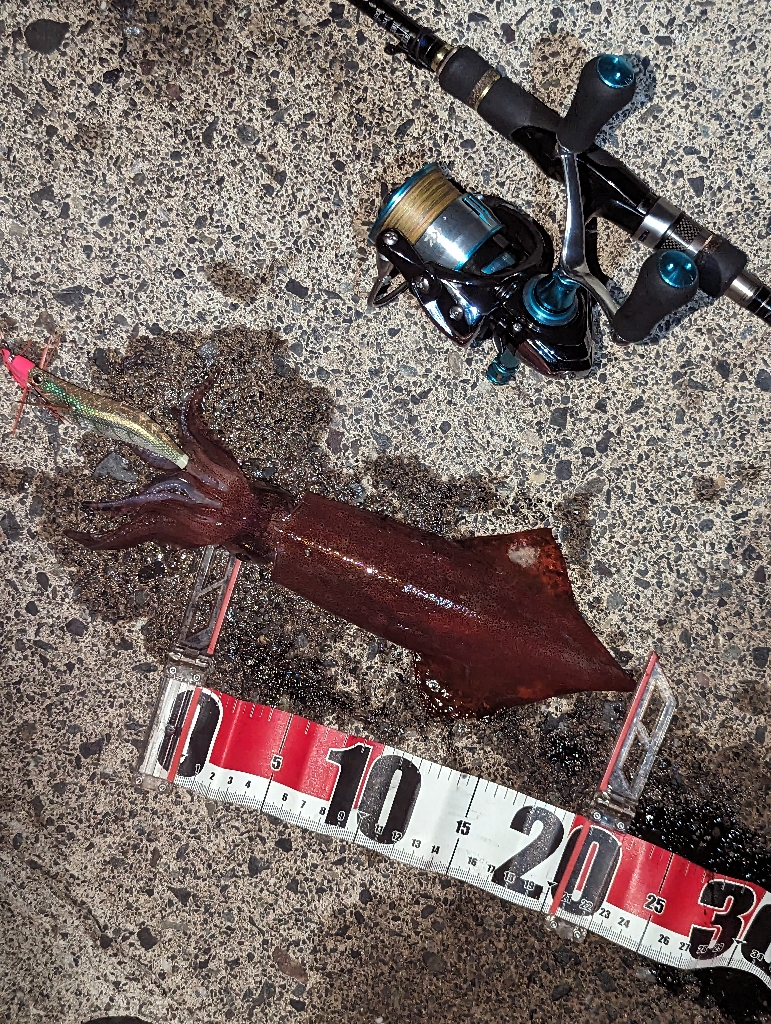 ショアティップラン